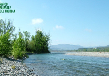 Scopriamo la biodiversità del fiume