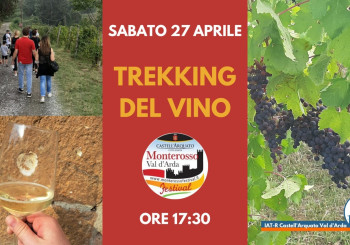 Trekking del Vino - Speciale Monterosso Festival
