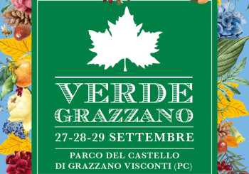 Verde Grazzano - 2024