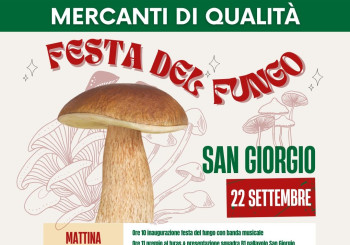 Mercanti di Qualità - San Giorgio Piacentino