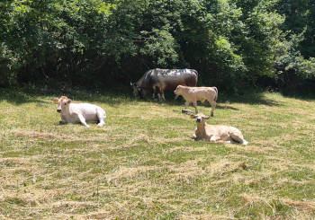 Mondo d’Appennino