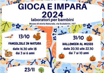 Gioca e impara al Museo - 2024