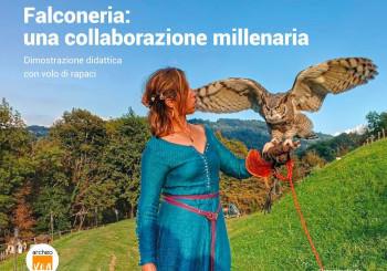 Falconeria: una collaborazione millenaria