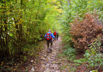 Escursione al Monte Pillerone