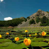 Lago Bino - foto Ziotti