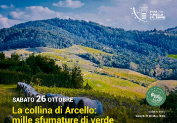 La collina di Arcello: mille sfumature di verde in Val Tidone