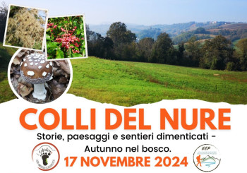 Colli del Nure. Storie, paesaggi e sentieri dimenticati - Autunno nel bosco