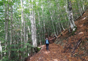 Escursione al Monte Pillerone