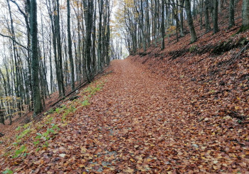 Escursione da Bobbio a Coli