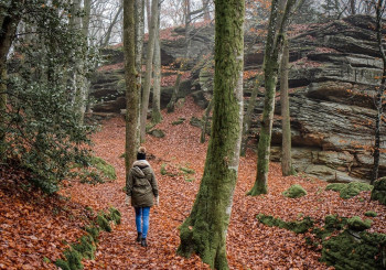 Escursione al Monte delle Tane