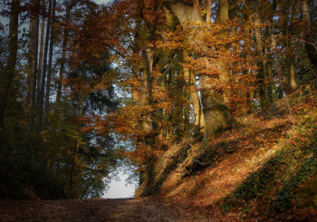 Escursione al Monte Denavolo