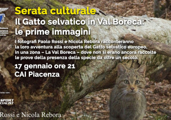 Serata culturale - Il gatto selvatico in Val Boreca: le prime immagini