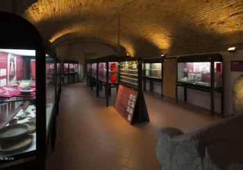 Visita il MAVT - Museo Archeologico della Val Tidone