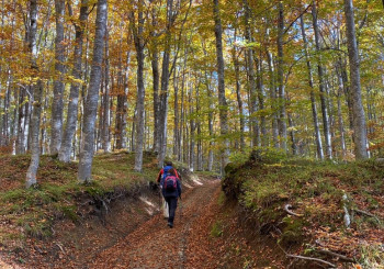 Escursione - Le vie di commercio e di pellegrinaggio - Da Bobbio al Lago di Maiardà