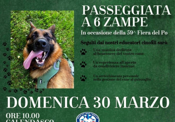 Passeggiata a 6 zampe