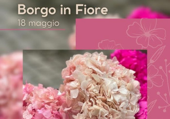 Borgo in Fiore - 2025