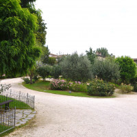 Parco e Museo della rosa nascente - foto di Filippo Adolfini e Renzo Marchionni