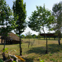 Villaggio neolitico